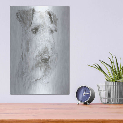 Luxe Metal Art 'Shaggy' by Barbara Keith, Metal Wall Art,12x16