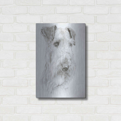 Luxe Metal Art 'Shaggy' by Barbara Keith, Metal Wall Art,16x24