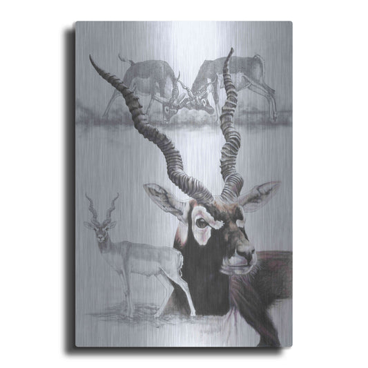 Luxe Metal Art 'Black Buck' by Barbara Keith, Metal Wall Art