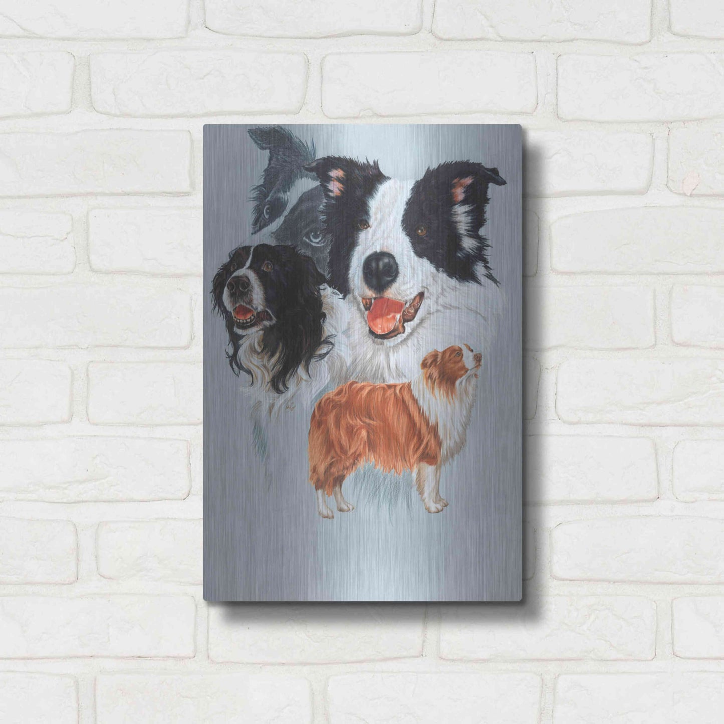 Luxe Metal Art 'Boarder Collie' by Barbara Keith, Metal Wall Art,12x16