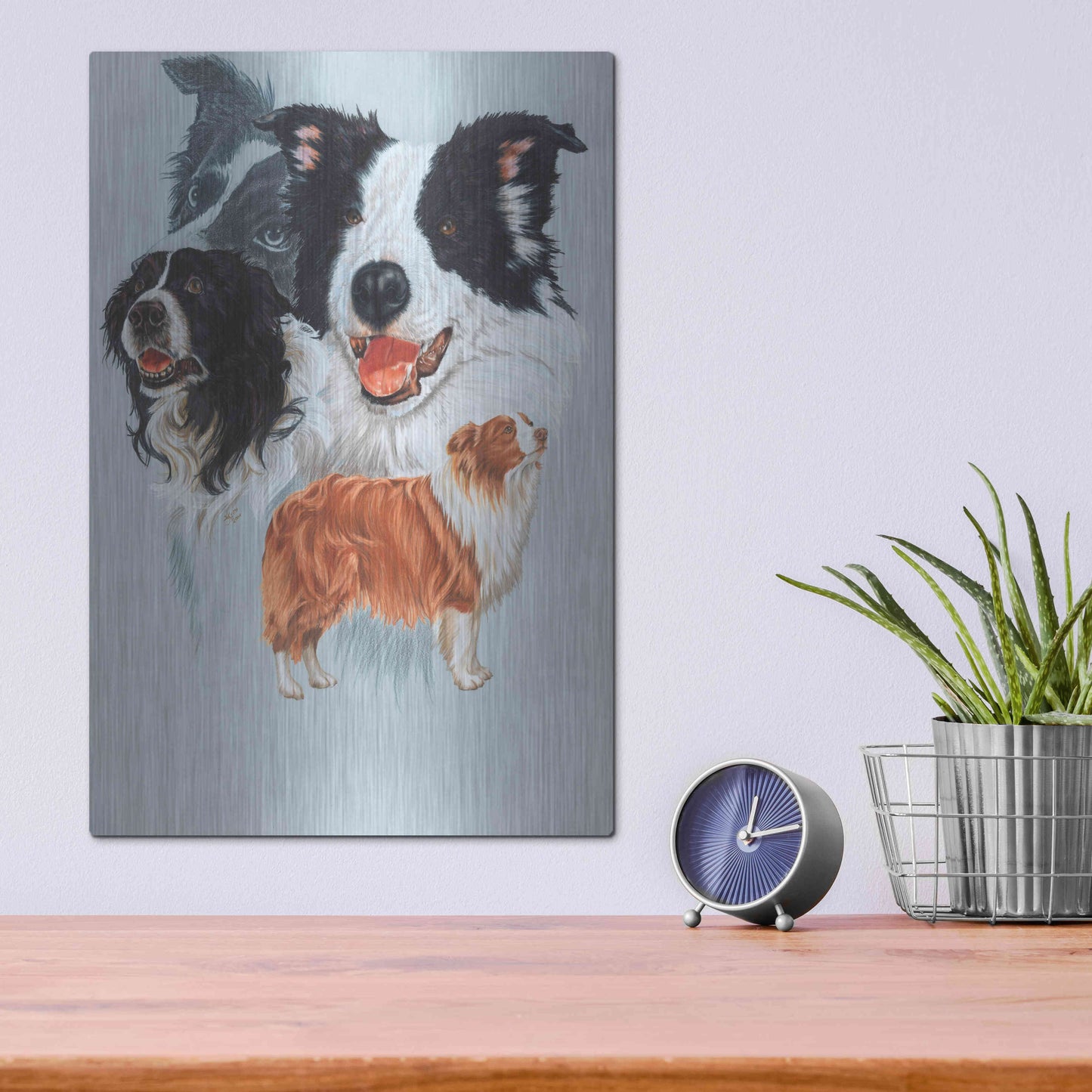 Luxe Metal Art 'Boarder Collie' by Barbara Keith, Metal Wall Art,12x16