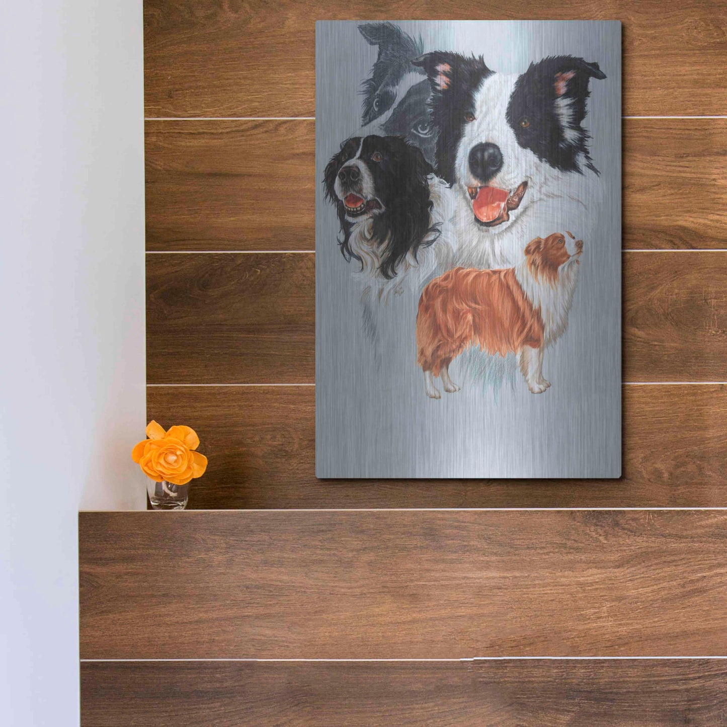 Luxe Metal Art 'Boarder Collie' by Barbara Keith, Metal Wall Art,12x16