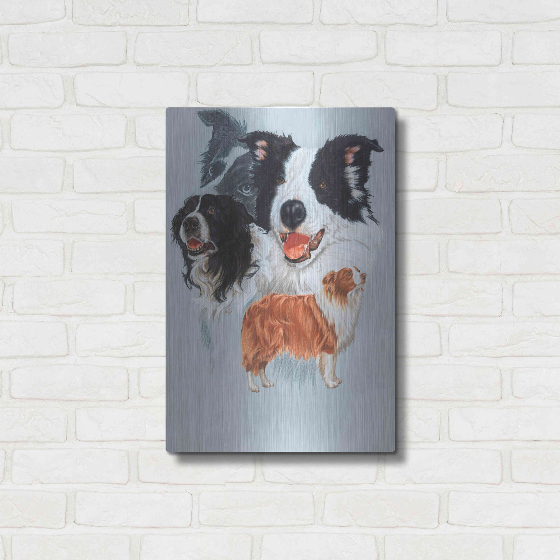 Luxe Metal Art 'Boarder Collie' by Barbara Keith, Metal Wall Art,16x24