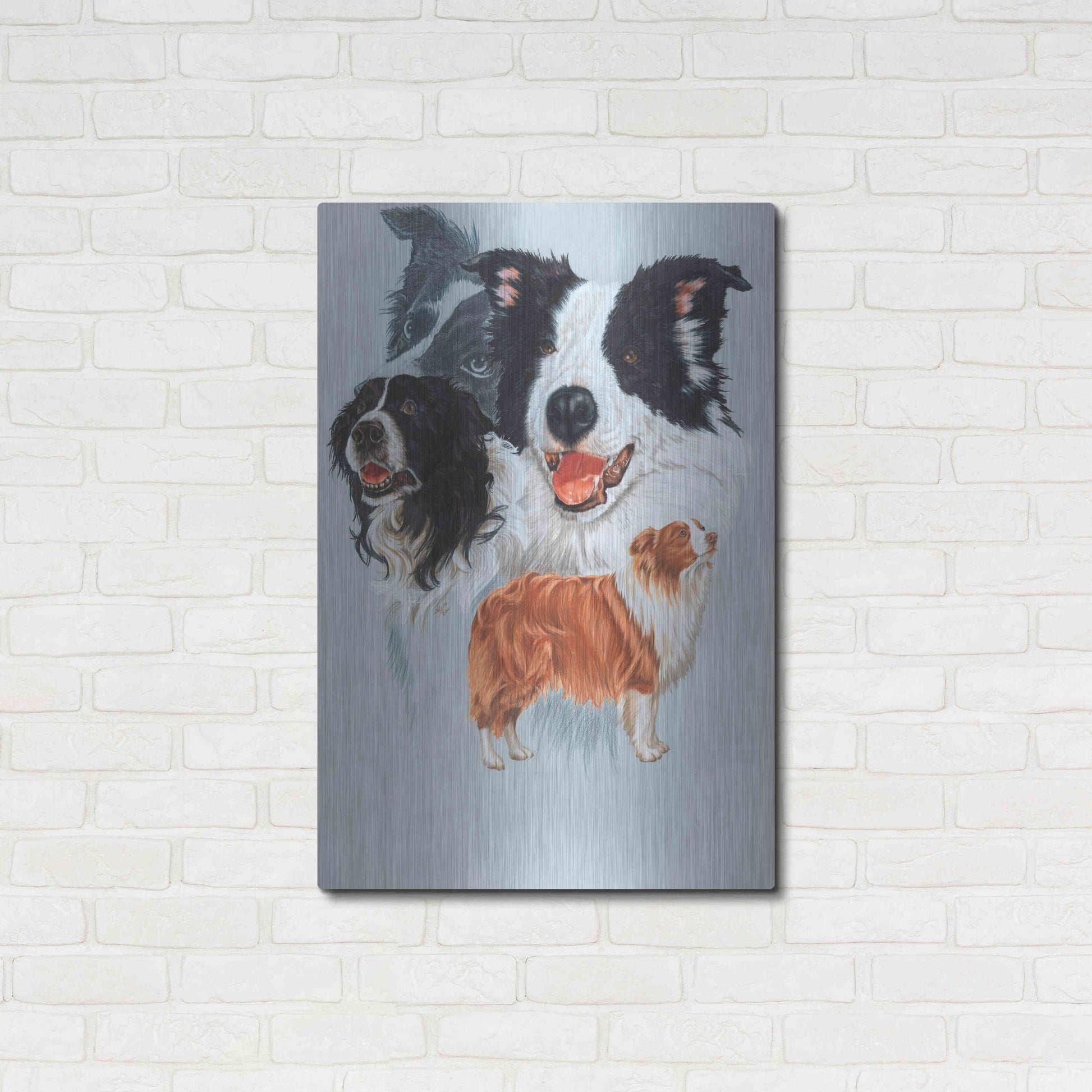 Luxe Metal Art 'Boarder Collie' by Barbara Keith, Metal Wall Art,24x36