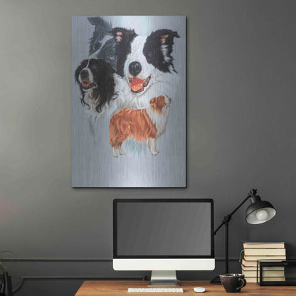 Luxe Metal Art 'Boarder Collie' by Barbara Keith, Metal Wall Art,24x36