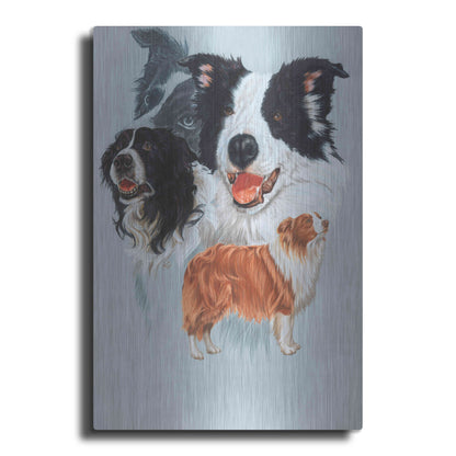 Luxe Metal Art 'Boarder Collie' by Barbara Keith, Metal Wall Art