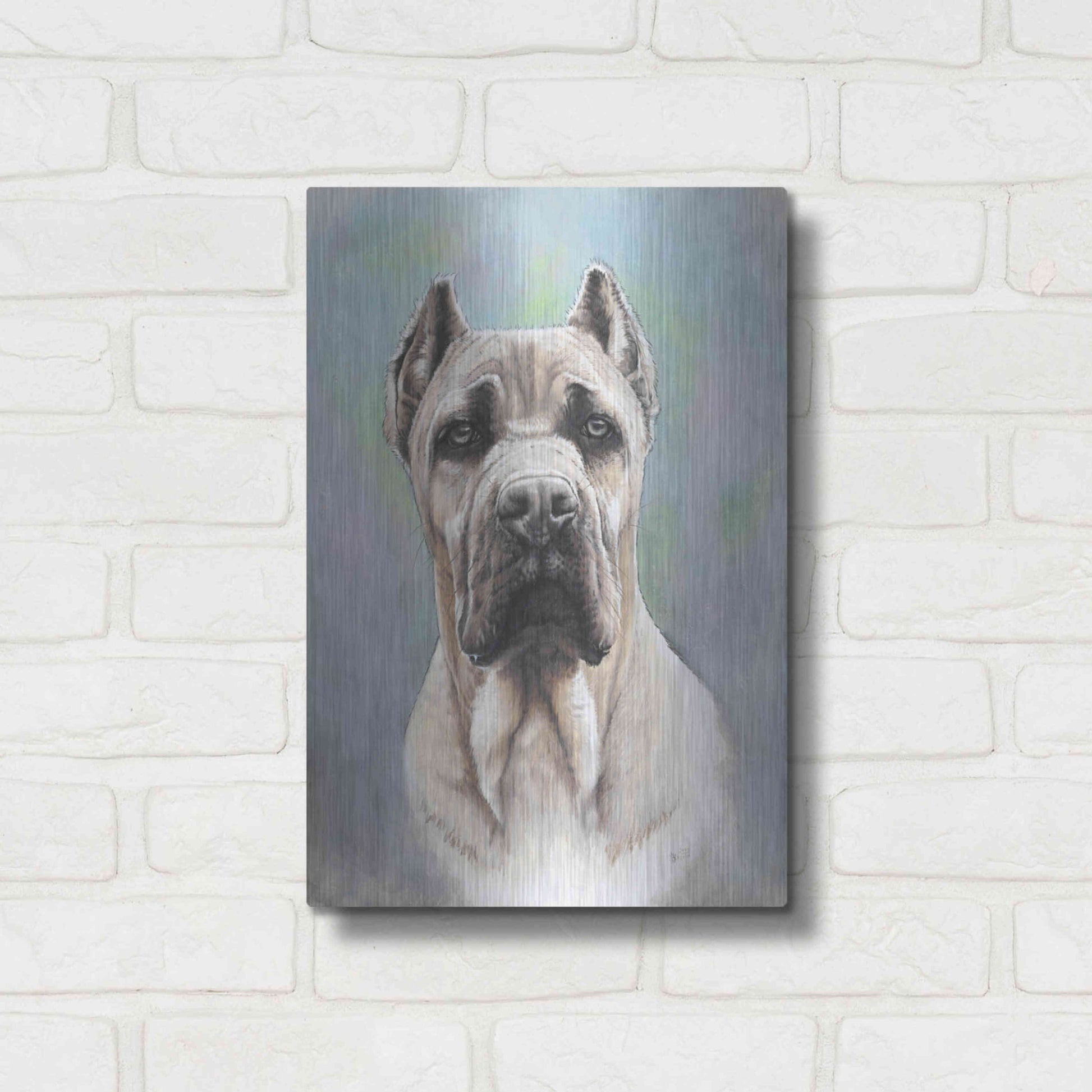 Luxe Metal Art 'Cane Corso 2' by Barbara Keith, Metal Wall Art,12x16