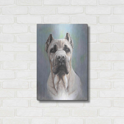 Luxe Metal Art 'Cane Corso 2' by Barbara Keith, Metal Wall Art,16x24