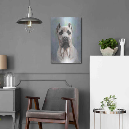 Luxe Metal Art 'Cane Corso 2' by Barbara Keith, Metal Wall Art,16x24