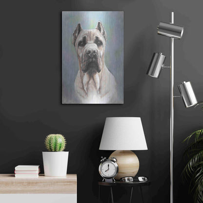 Luxe Metal Art 'Cane Corso 2' by Barbara Keith, Metal Wall Art,16x24