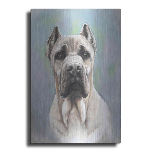 Luxe Metal Art 'Cane Corso 2' by Barbara Keith, Metal Wall Art