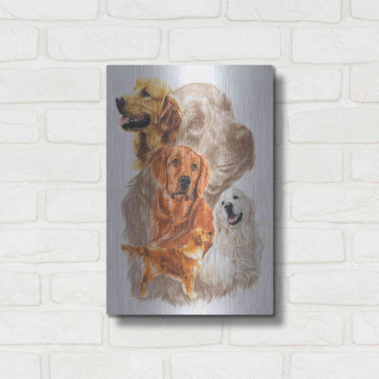 Luxe Metal Art 'Golden Retriever with Ghost Image' by Barbara Keith, Metal Wall Art,12x16