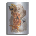 Luxe Metal Art 'Golden Retriever with Ghost Image' by Barbara Keith, Metal Wall Art