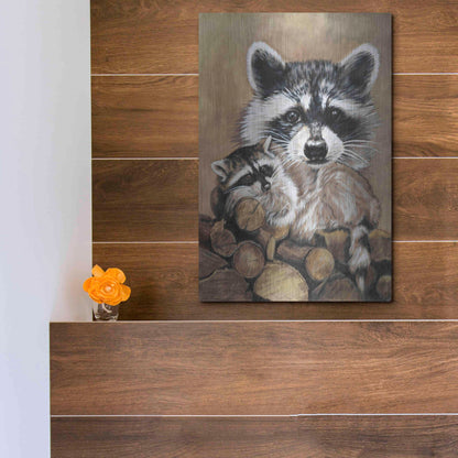 Luxe Metal Art 'Bandit' by Barbara Keith, Metal Wall Art,12x16