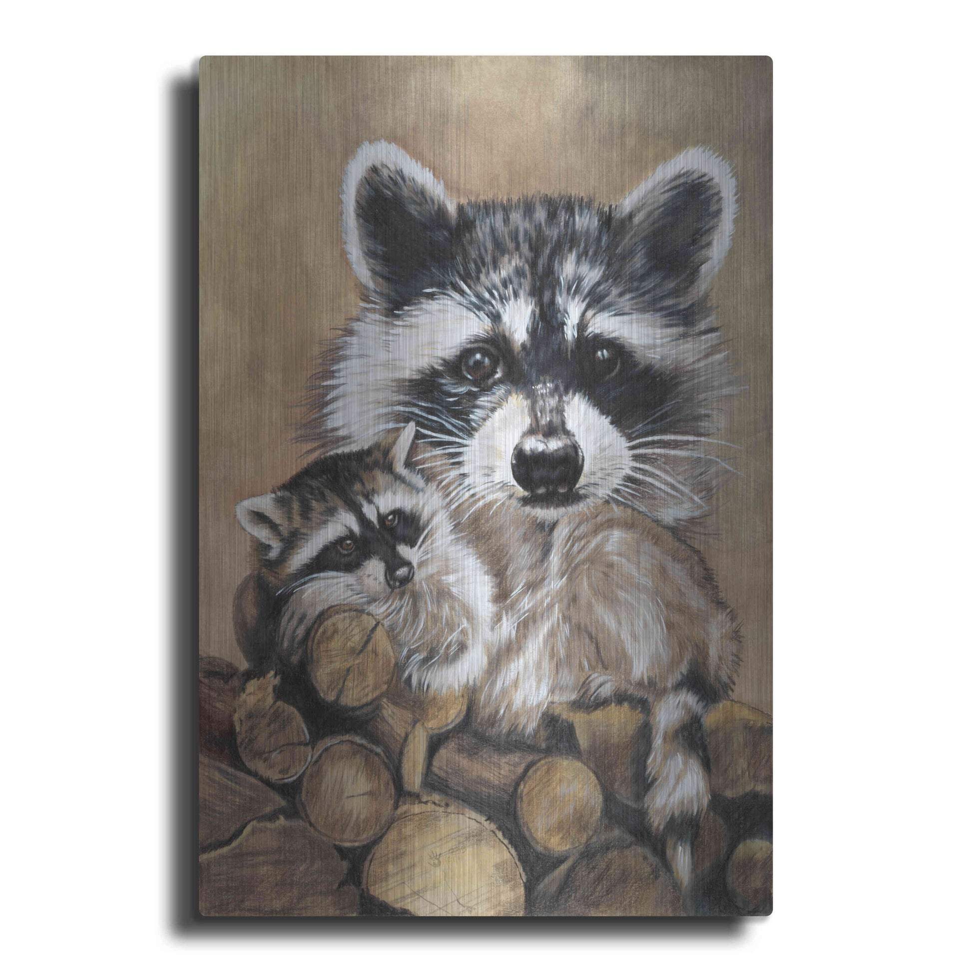 Luxe Metal Art 'Bandit' by Barbara Keith, Metal Wall Art