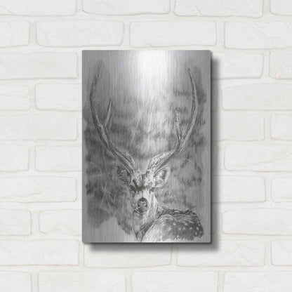 Luxe Metal Art 'Chital Deer' by Barbara Keith, Metal Wall Art,12x16