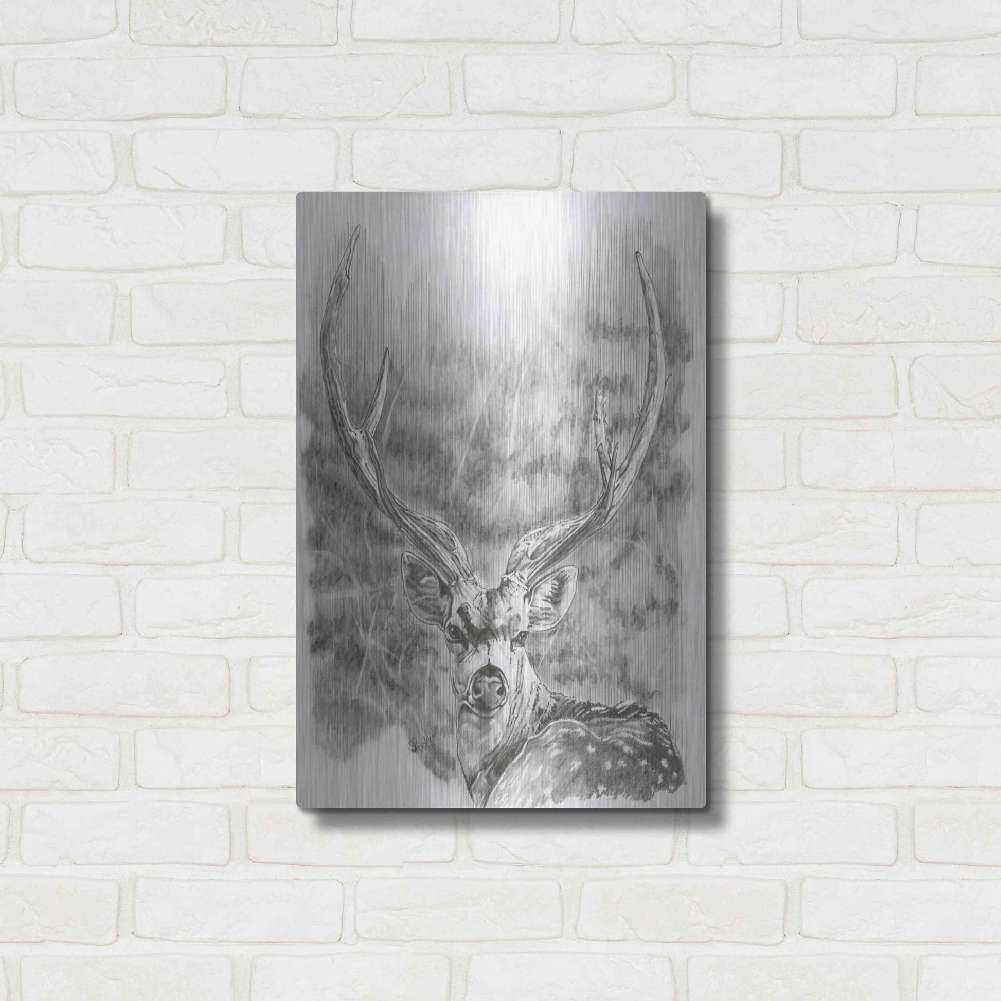 Luxe Metal Art 'Chital Deer' by Barbara Keith, Metal Wall Art,16x24