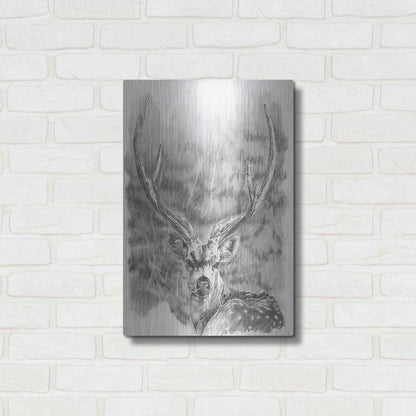 Luxe Metal Art 'Chital Deer' by Barbara Keith, Metal Wall Art,16x24