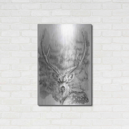 Luxe Metal Art 'Chital Deer' by Barbara Keith, Metal Wall Art,24x36