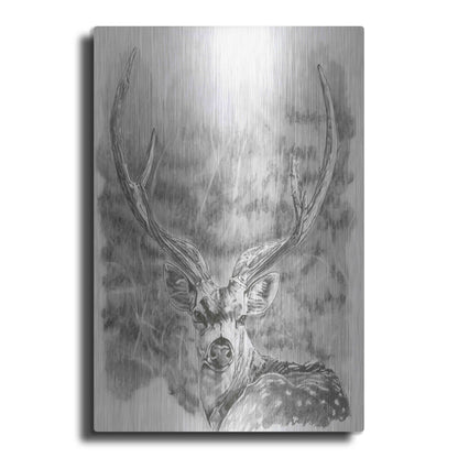 Luxe Metal Art 'Chital Deer' by Barbara Keith, Metal Wall Art