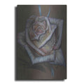 Luxe Metal Art 'Memory Expressed' by Barbara Keith, Metal Wall Art