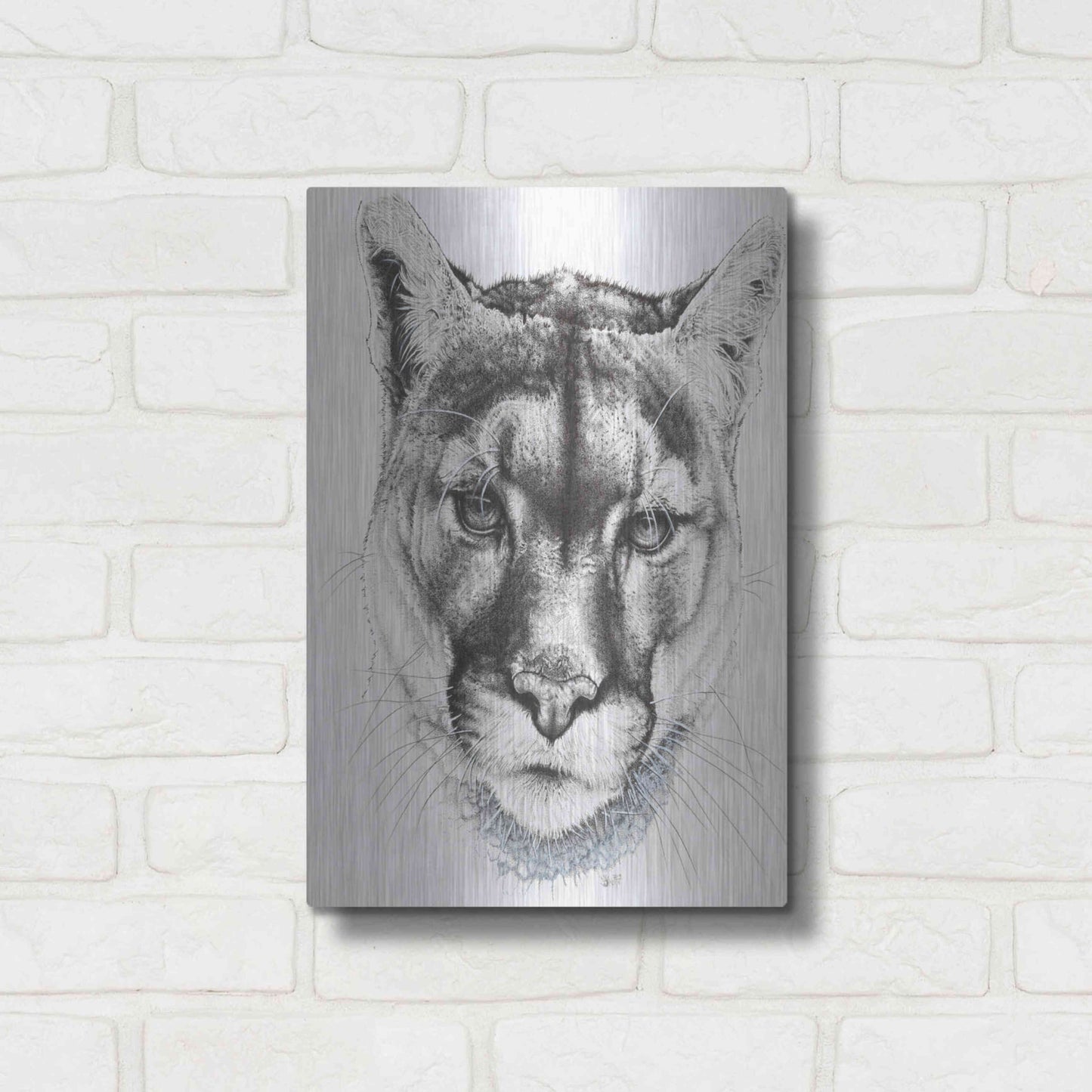 Luxe Metal Art 'Sinewy' by Barbara Keith, Metal Wall Art,12x16