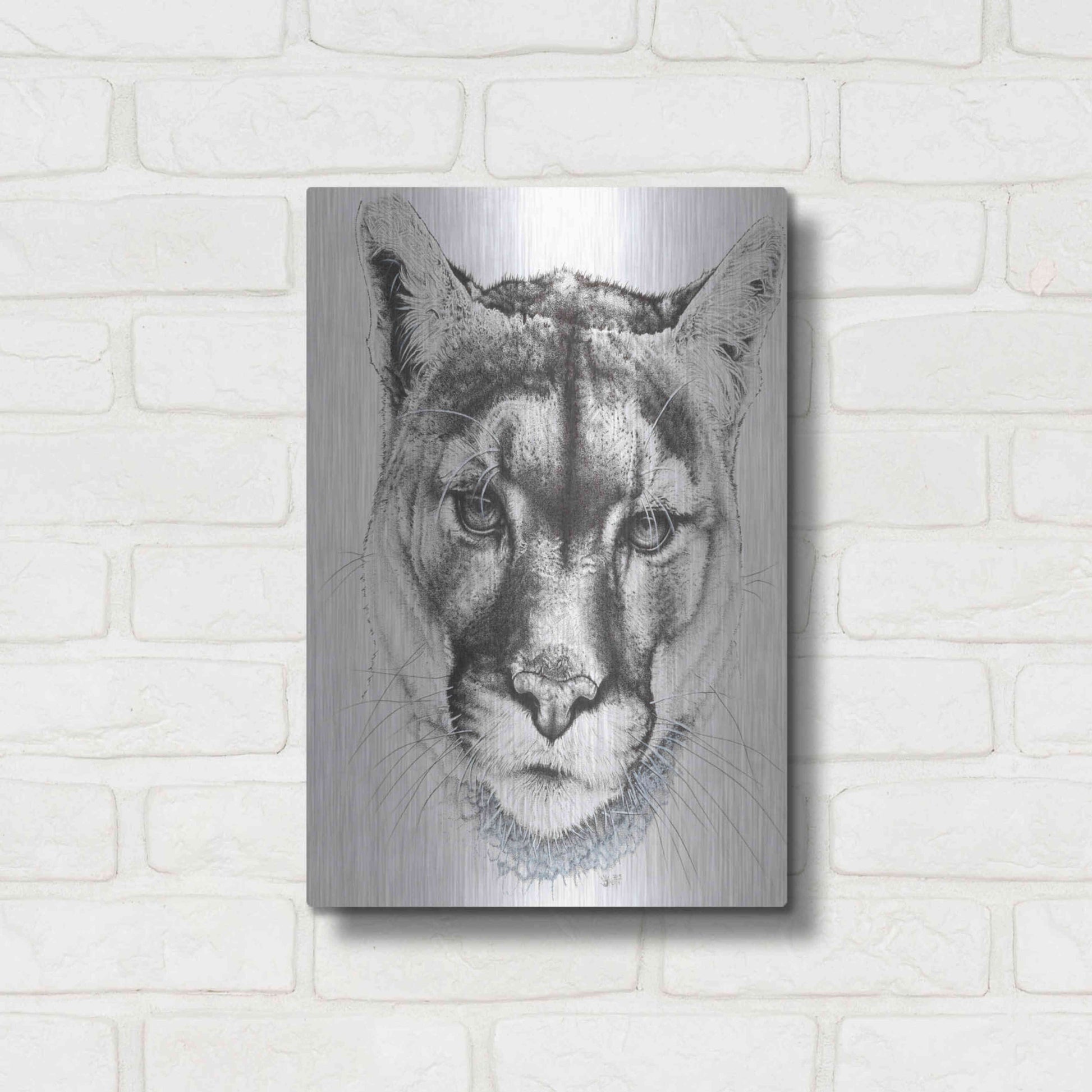 Luxe Metal Art 'Sinewy' by Barbara Keith, Metal Wall Art,12x16