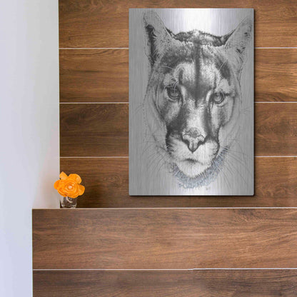 Luxe Metal Art 'Sinewy' by Barbara Keith, Metal Wall Art,12x16