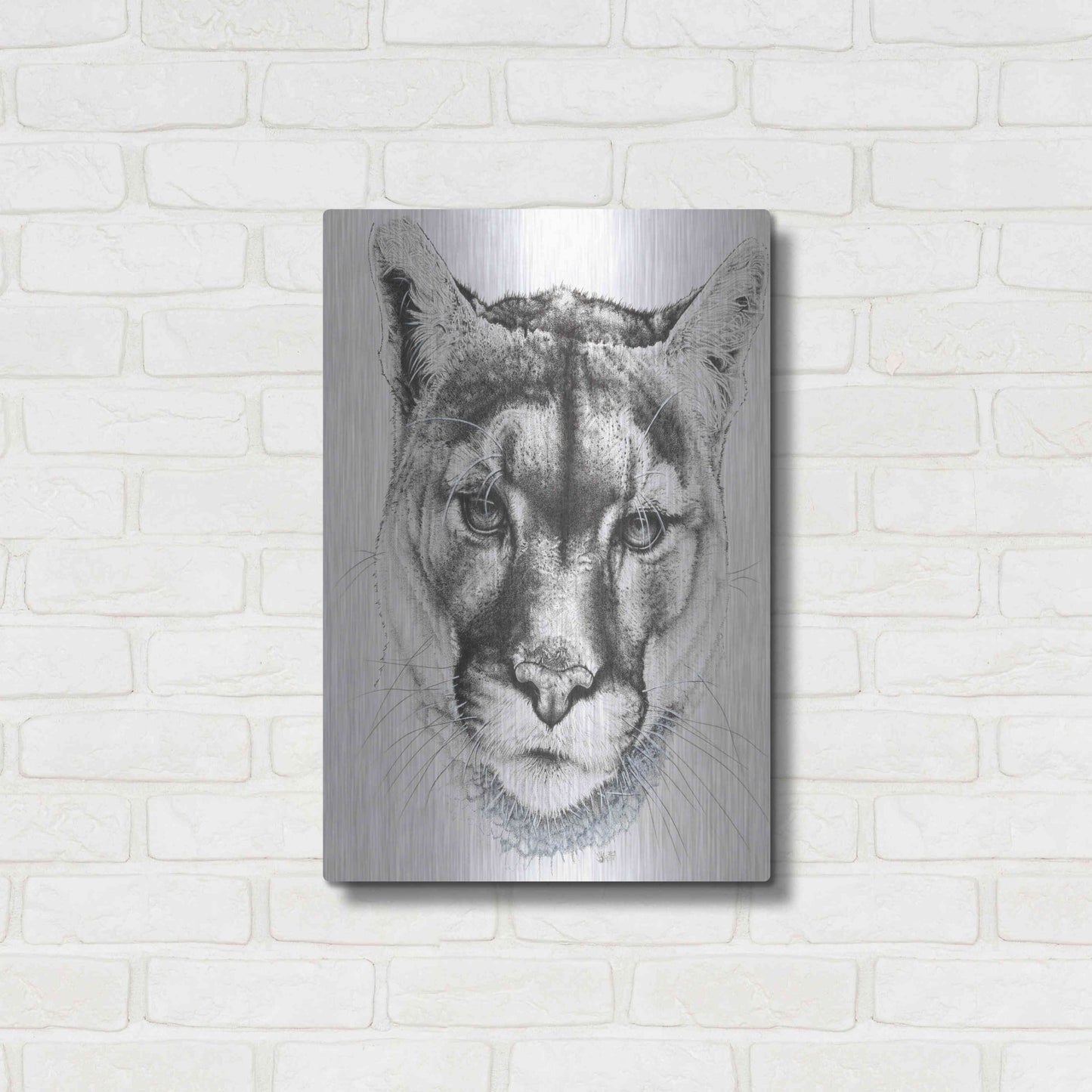 Luxe Metal Art 'Sinewy' by Barbara Keith, Metal Wall Art,16x24