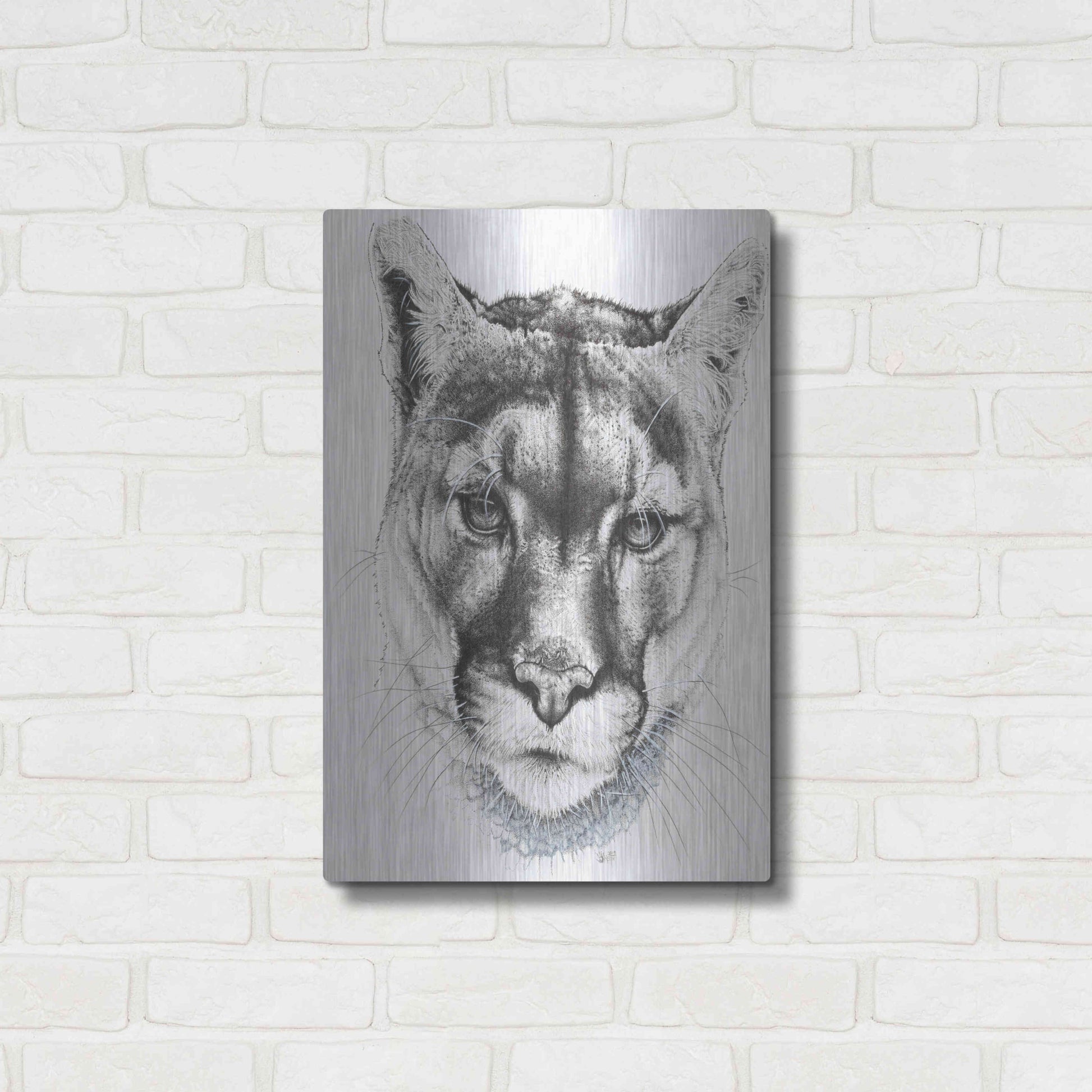 Luxe Metal Art 'Sinewy' by Barbara Keith, Metal Wall Art,16x24