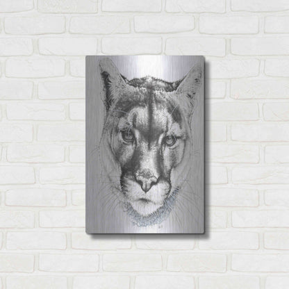 Luxe Metal Art 'Sinewy' by Barbara Keith, Metal Wall Art,16x24