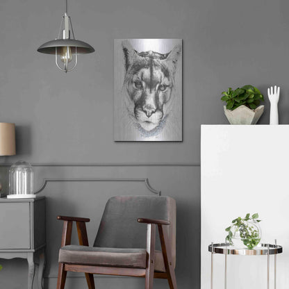 Luxe Metal Art 'Sinewy' by Barbara Keith, Metal Wall Art,16x24