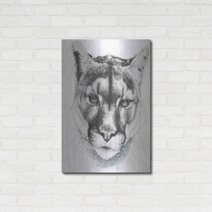 Luxe Metal Art 'Sinewy' by Barbara Keith, Metal Wall Art,24x36