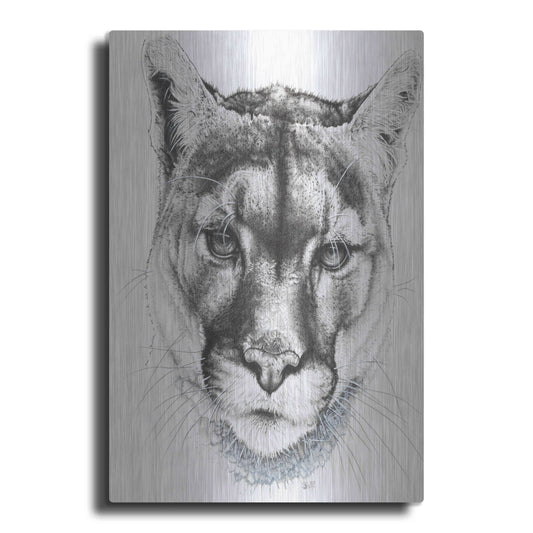 Luxe Metal Art 'Sinewy' by Barbara Keith, Metal Wall Art