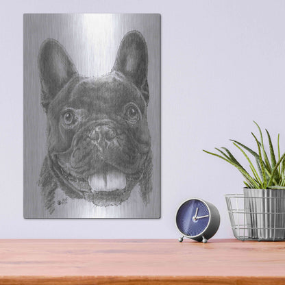 Luxe Metal Art 'French Bulldog 3' by Barbara Keith, Metal Wall Art,12x16