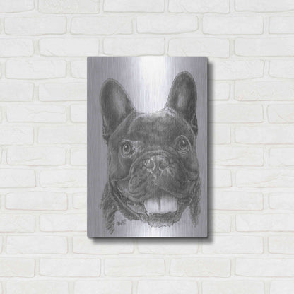 Luxe Metal Art 'French Bulldog 3' by Barbara Keith, Metal Wall Art,16x24