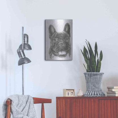 Luxe Metal Art 'French Bulldog 3' by Barbara Keith, Metal Wall Art,16x24