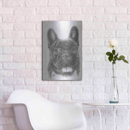 Luxe Metal Art 'French Bulldog 3' by Barbara Keith, Metal Wall Art,16x24