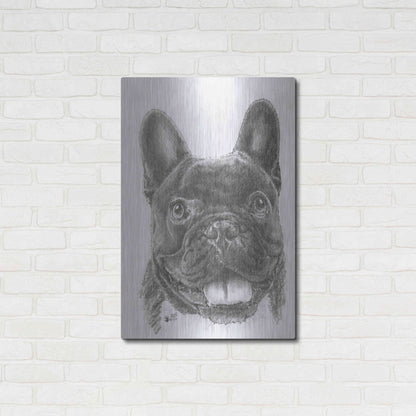 Luxe Metal Art 'French Bulldog 3' by Barbara Keith, Metal Wall Art,24x36