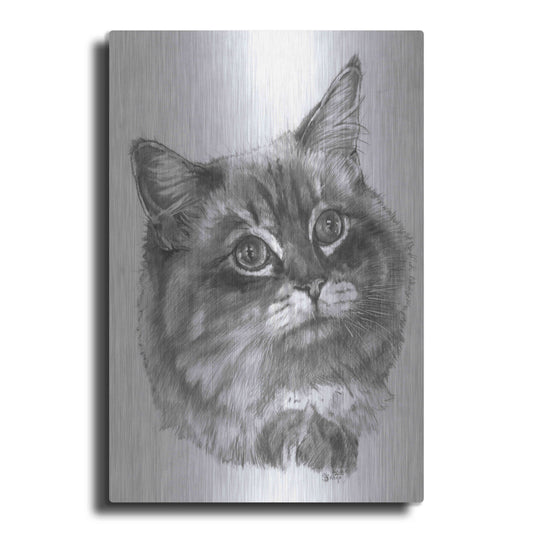 Luxe Metal Art 'Kitty' by Barbara Keith, Metal Wall Art