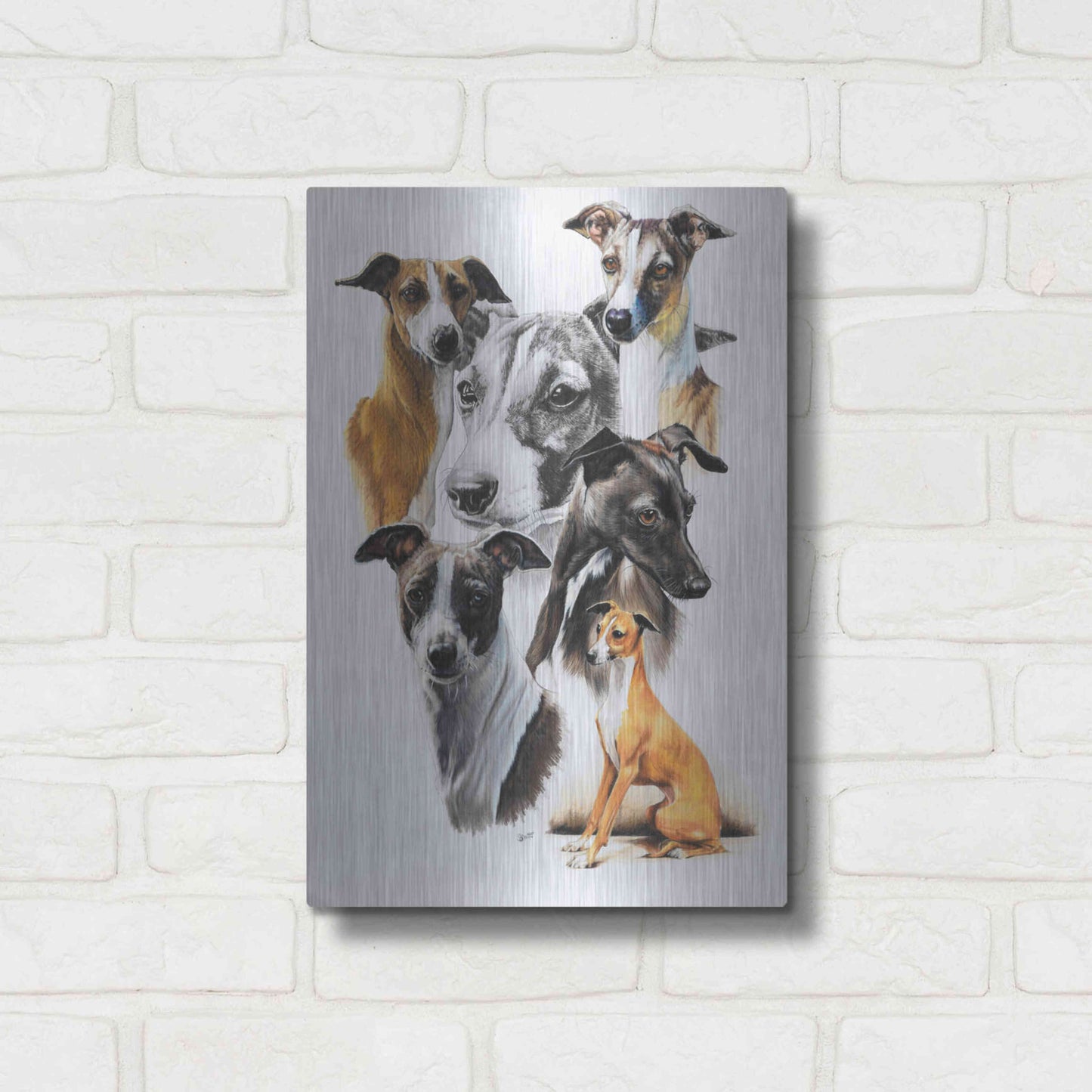 Luxe Metal Art 'Italian Greyhound Medley' by Barbara Keith, Metal Wall Art,12x16