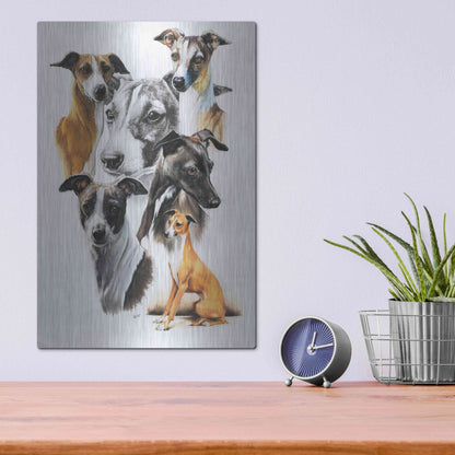Luxe Metal Art 'Italian Greyhound Medley' by Barbara Keith, Metal Wall Art,12x16
