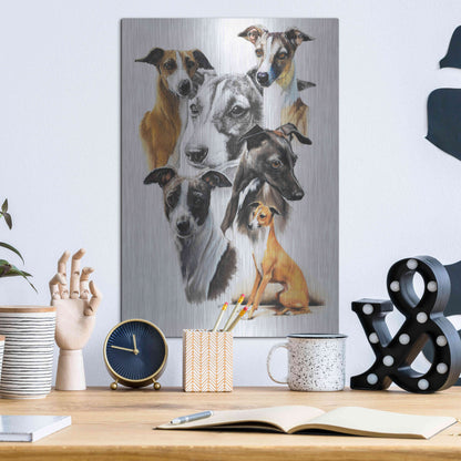 Luxe Metal Art 'Italian Greyhound Medley' by Barbara Keith, Metal Wall Art,12x16