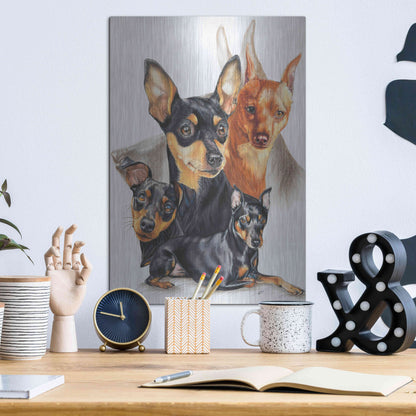 Luxe Metal Art 'Miniature Pinscher Medley' by Barbara Keith, Metal Wall Art,12x16