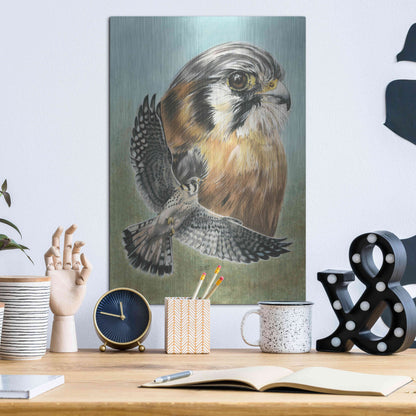 Luxe Metal Art 'American Kestrel' by Barbara Keith, Metal Wall Art,12x16