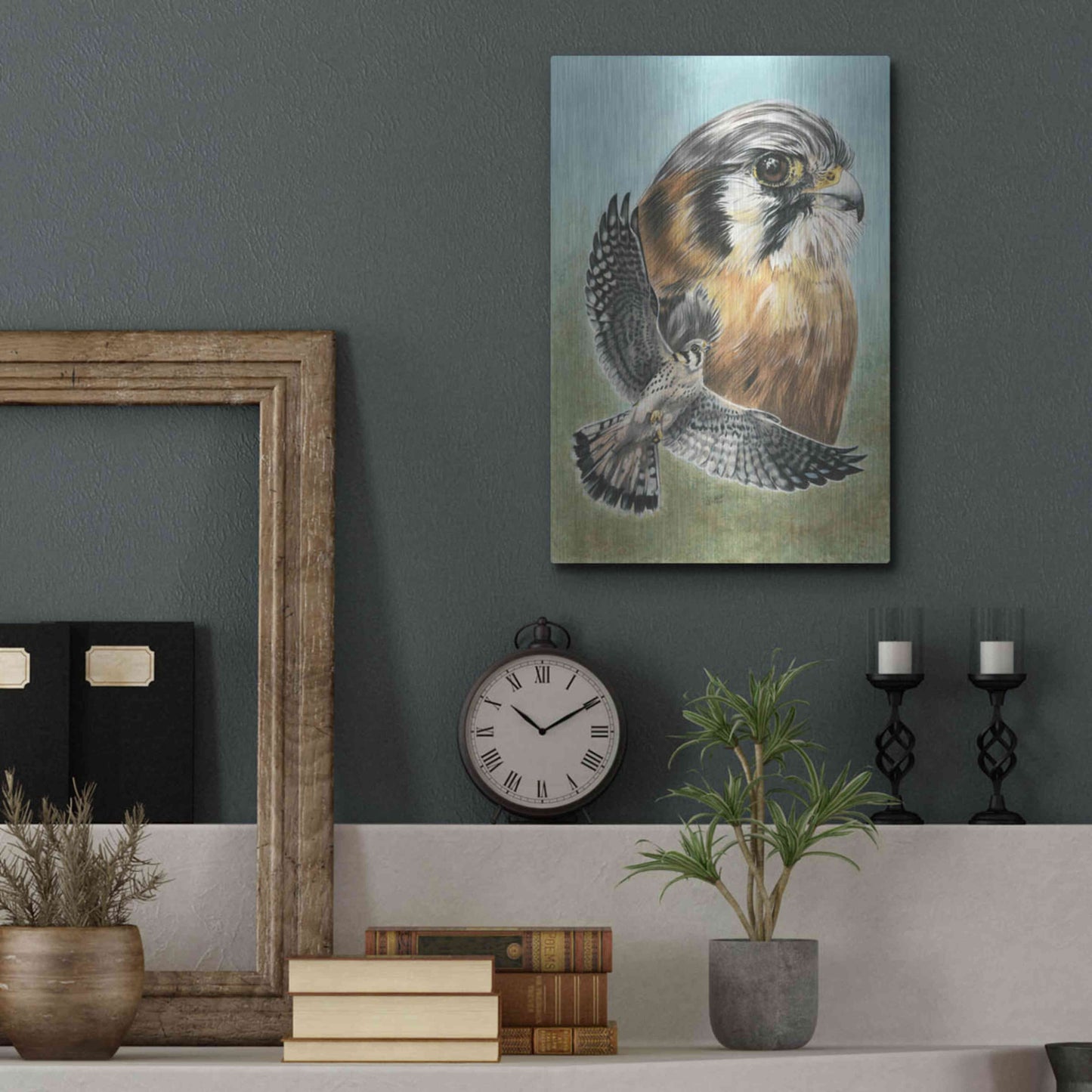 Luxe Metal Art 'American Kestrel' by Barbara Keith, Metal Wall Art,12x16