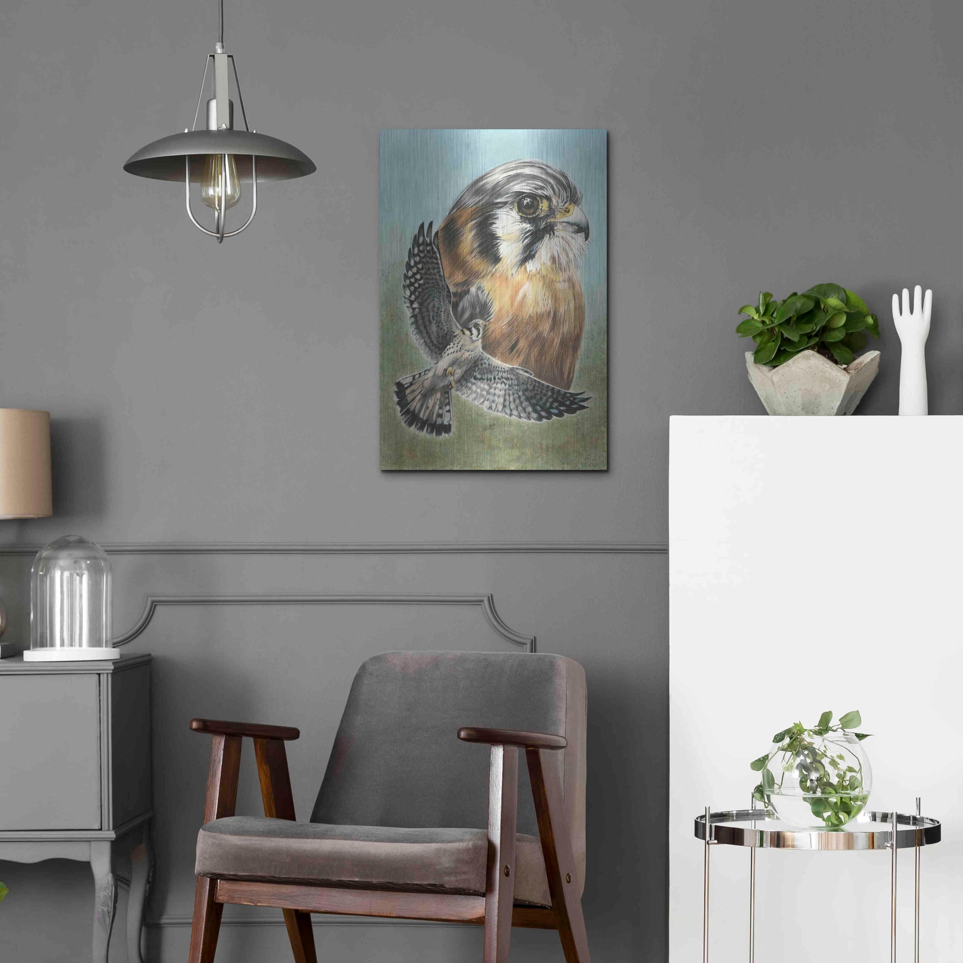 Luxe Metal Art 'American Kestrel' by Barbara Keith, Metal Wall Art,16x24