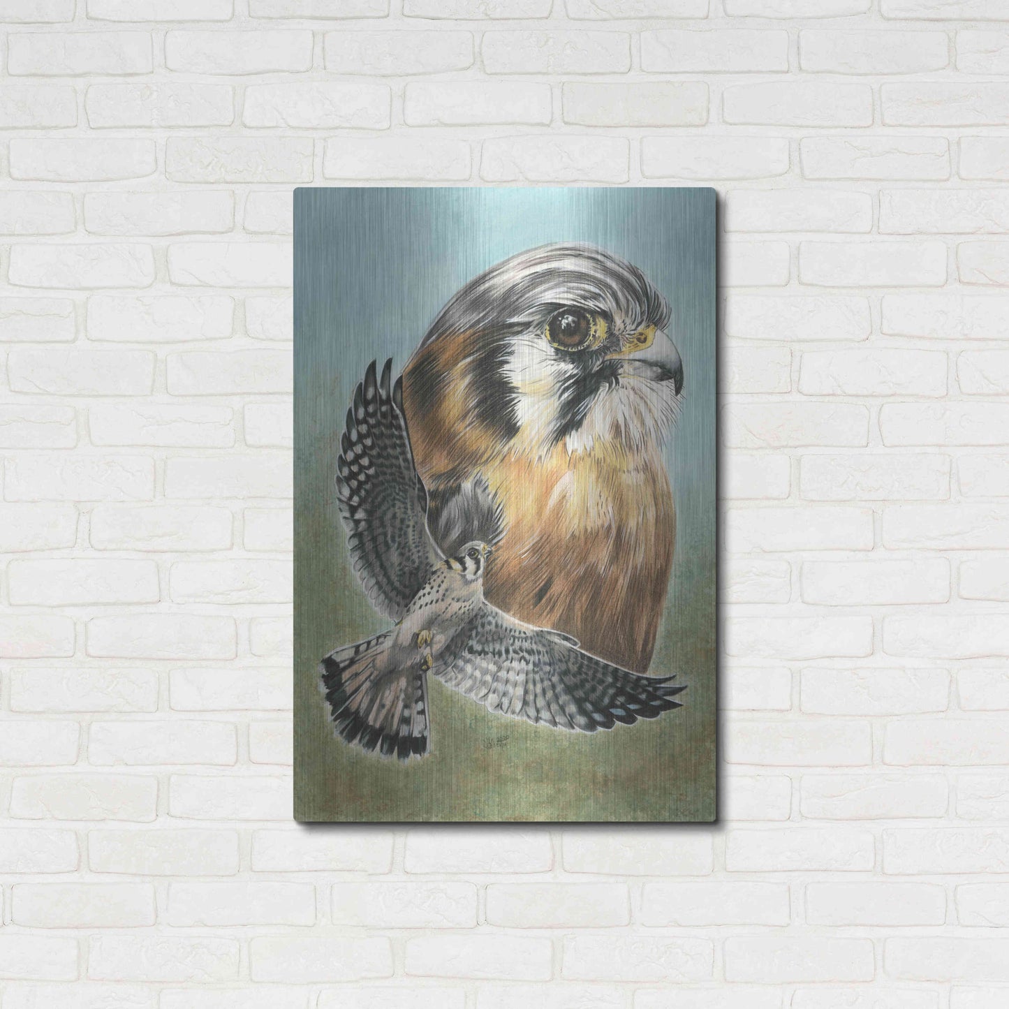 Luxe Metal Art 'American Kestrel' by Barbara Keith, Metal Wall Art,24x36