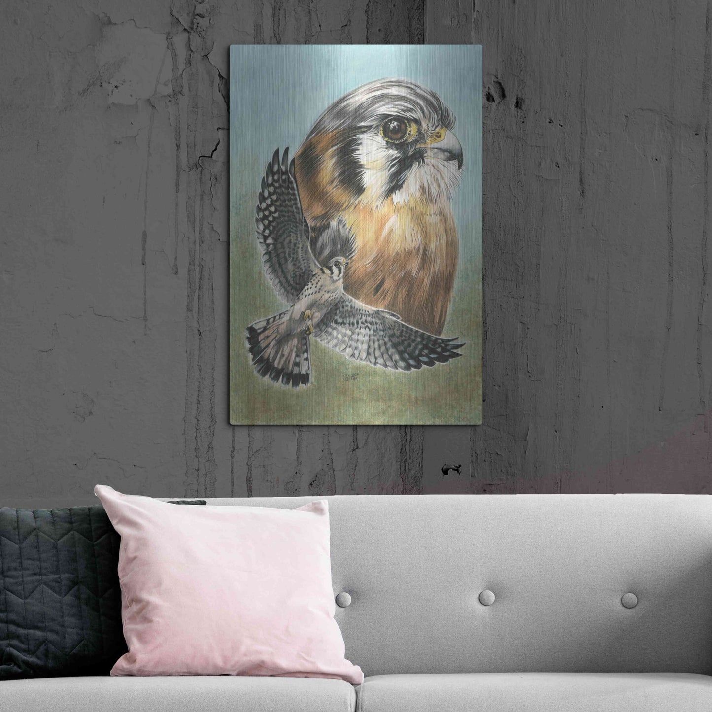 Luxe Metal Art 'American Kestrel' by Barbara Keith, Metal Wall Art,24x36