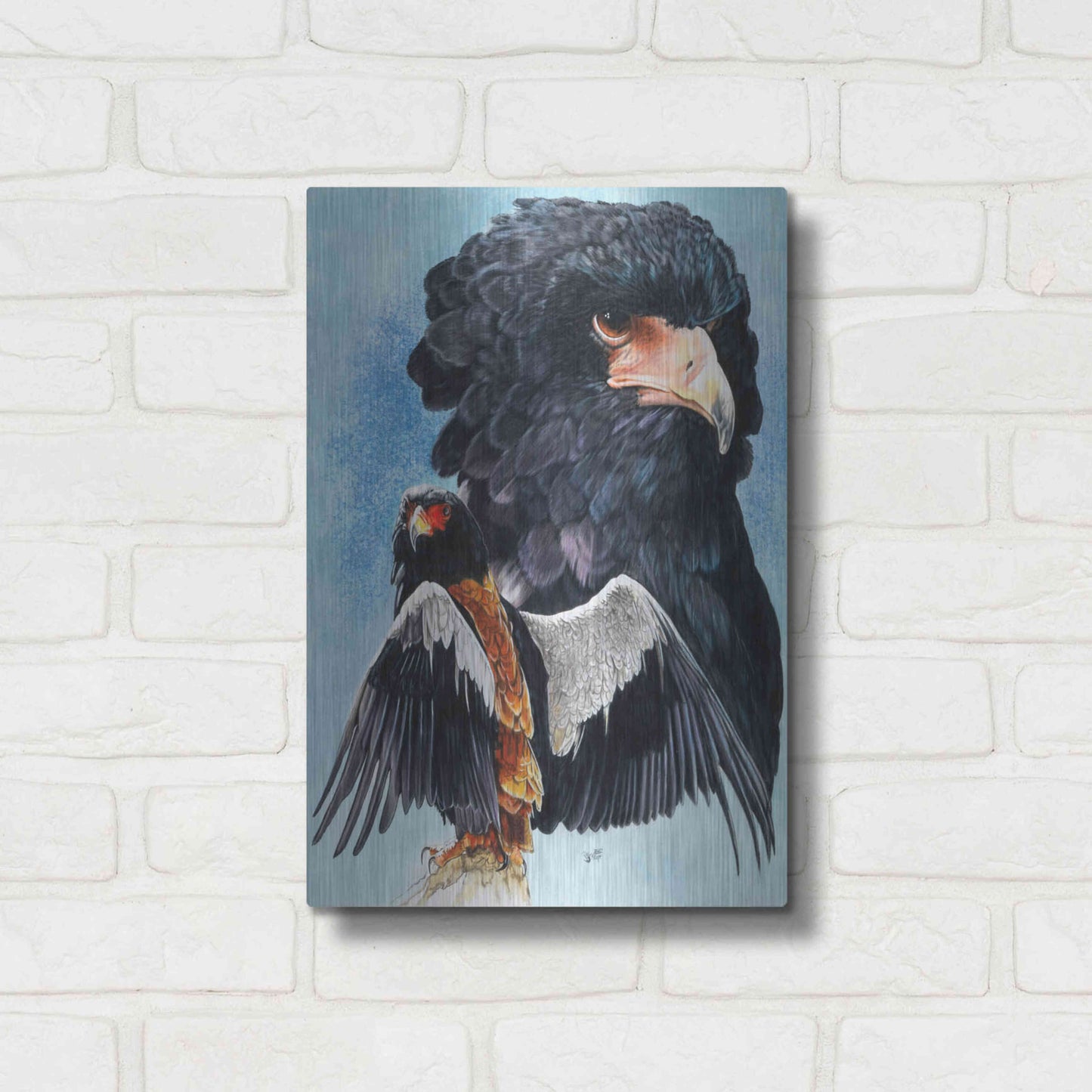 Luxe Metal Art 'Bateleur Eagle' by Barbara Keith, Metal Wall Art,12x16